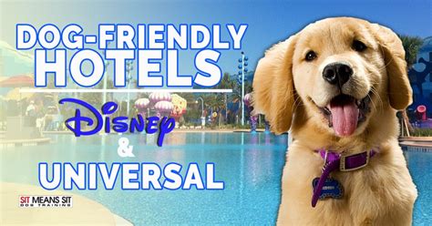 5 Pet-Friendly Hotels At Universal Orlando