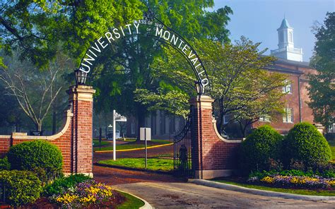 5 Resources To Explore At University Of Montevallo Library