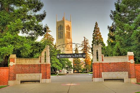 5 University Of Pacific Jobs To Explore