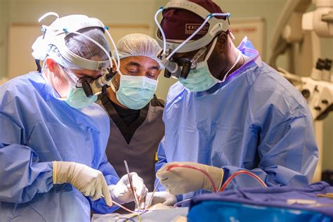 5 Ways Brown University Excels In Neurosurgery