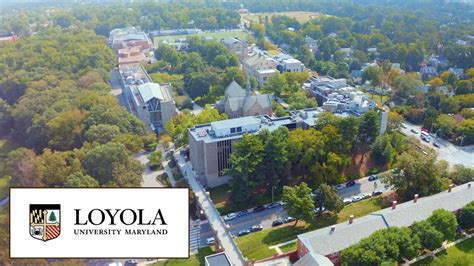 5 Ways Loyola University Excels In Hockey