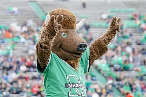 5 Ways Marco The Marshall University Mascot Impacts Fans