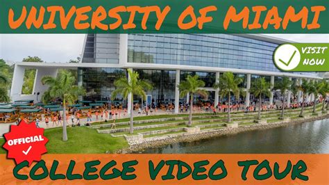 5 Ways Miami Universitys Bridges Program Supports Students