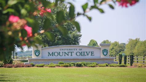 5 Ways Mount Olive University Excels In Softball