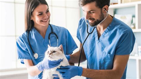 5 Ways Patterson Vet University Leads In Animal Care