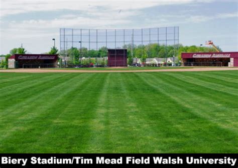 5 Ways To Experience Walsh University Baseball Field