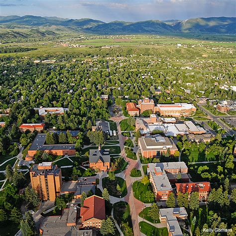 5 Ways To Rep Um With University Of Montana Store