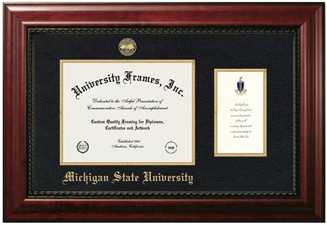 5 Ways To Showcase Your Michigan State University Diploma