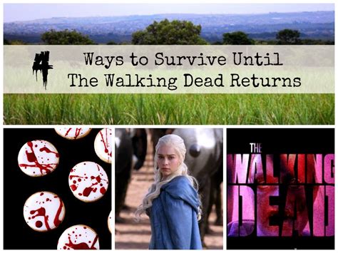 5 Ways To Survive The Walking Dead Attraction