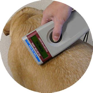 5 Ways Universal Pet Microchip Scanners Save Lives