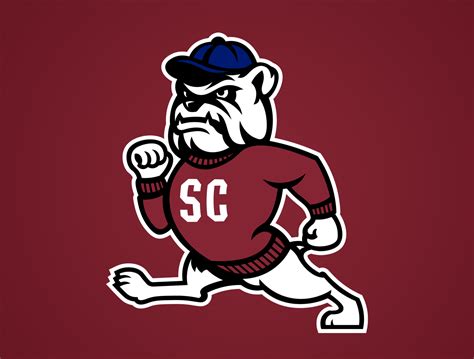 7 Ways To Rep South Carolina State University Gear