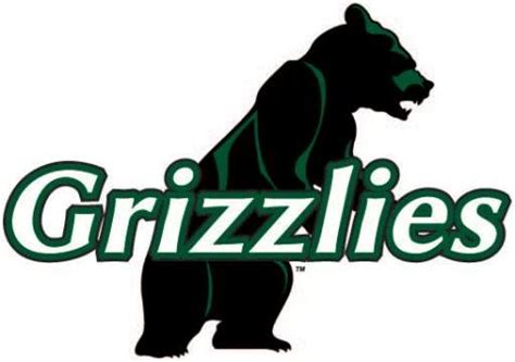 Adams State University Grizzlies Baseball Team Guide