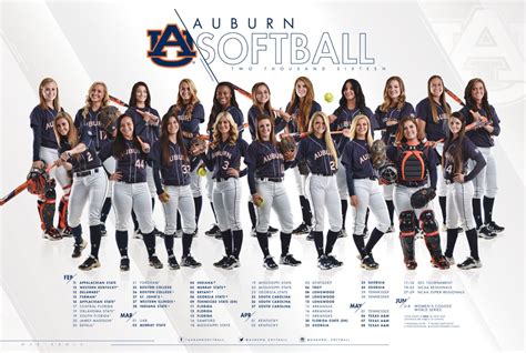 Auburn University Softball Roster Breakdown