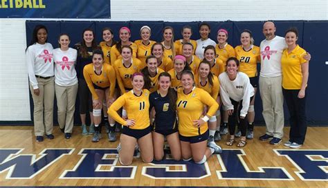 Averett University Volleyball Schedule And Scores