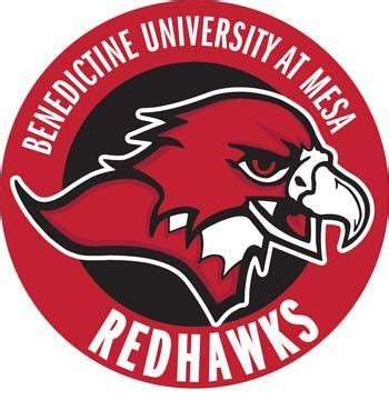 Benedictine University At Mesa Eagles Baseball Team