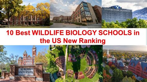 Best Biology Programs In Texas: Top Schools Revealed