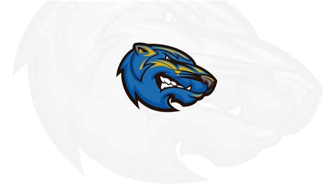 Brescia University Bearcats Basketball Schedule