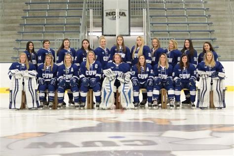 Concordia University Wisconsin Falcons Softball Team Overview