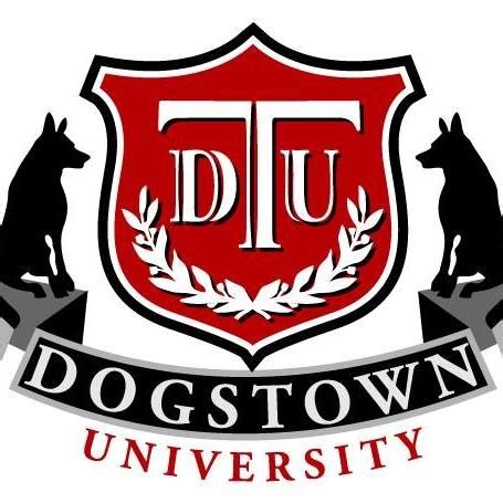 Dogstown University Deerfield: Exceptional Education And Excellence