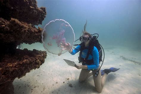 Exploring Marine Biology At University Of West Florida