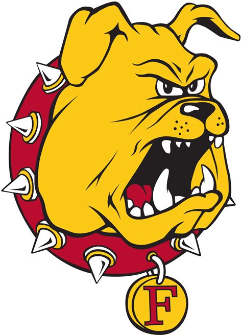 Ferris State University Bulldogs Softball Team Overview