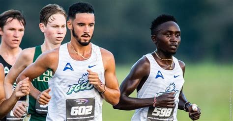 Fgcu Eagles Cross Country: Running To New Heights