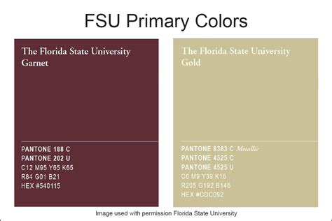 Garnet And Gold: The Timeless Colors Of Florida State University