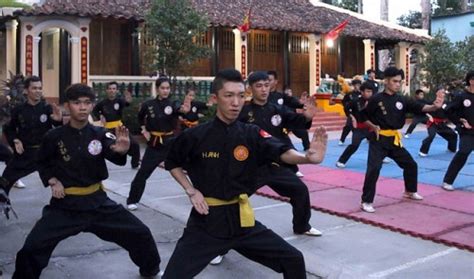 La Vir - Traditional Vietnamese Martial Art Explained