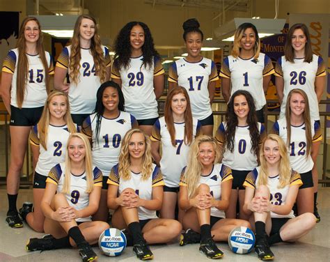 Lee University Volleyball Team Wins And Schedules