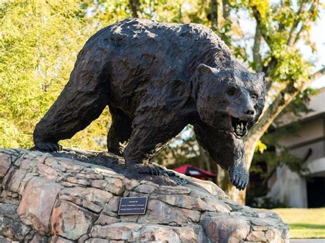 Lru Bears Shop: Lenoir Rhyne University Bookstore