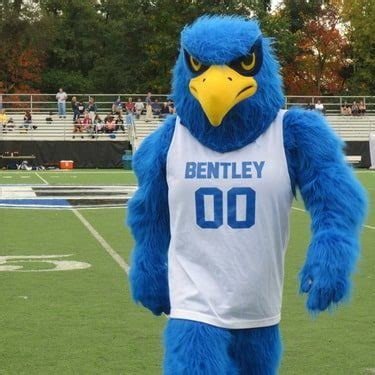 Meet Flex The Falcon: Bentley Universitys Mascot Revealed