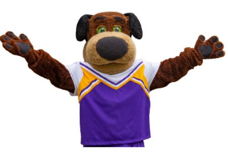 Meet The Pointer: University Of Wisconsin-Stevens Point Mascot