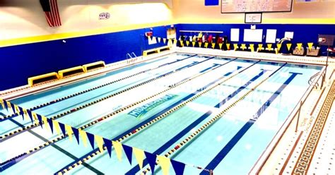 Misericordia University Swimming: Excellence In The Pool