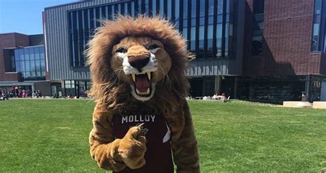 Molloy University Spirit Store: Gear Up In Lion Pride