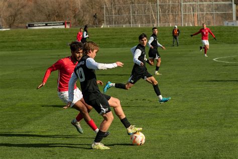 Oakland University Mens Soccer Team Overview