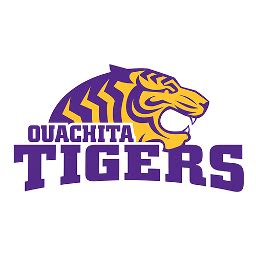 Obu Tigers Softball Team Spotlight