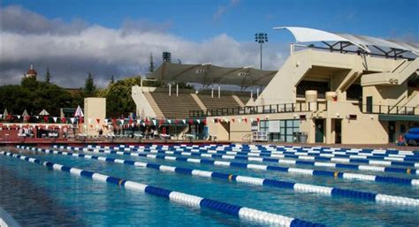 Stanford University Swim Camp: Train With The Best