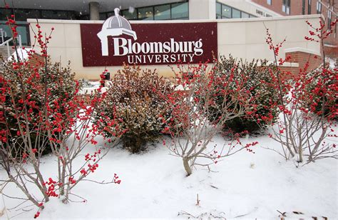 Top 5 Bloom University Jobs To Apply Now