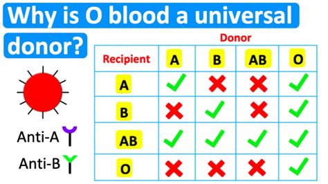 Universal Donors Designation Explained