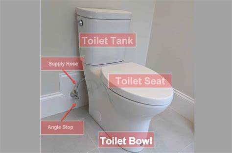 Universal Toilet: A Comprehensive Guide