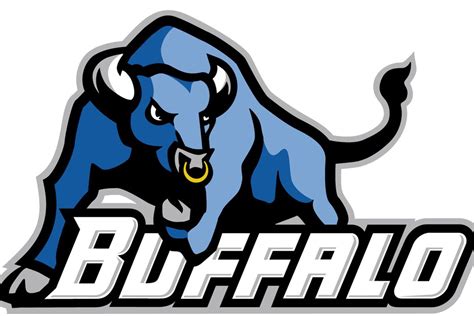 University Of Buffalo Bulls Baseball Team Overview