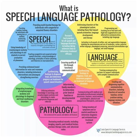 University Of Michigan Speech Language Pathology Program Overview