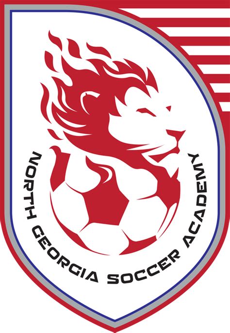 University Of North Georgia Soccer Team Profile