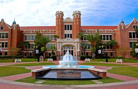 University Of South Carolina Greekrank Insider Tips