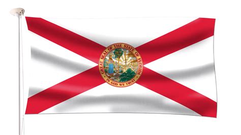 University Of South Florida Flag Meaning And History