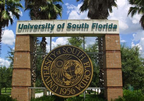 Usf Vs University Of Tampa: Which Is Best For You