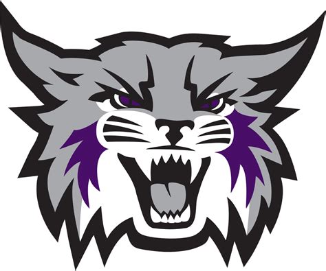 Weber State University Wildcats Ice Hockey Team Overview