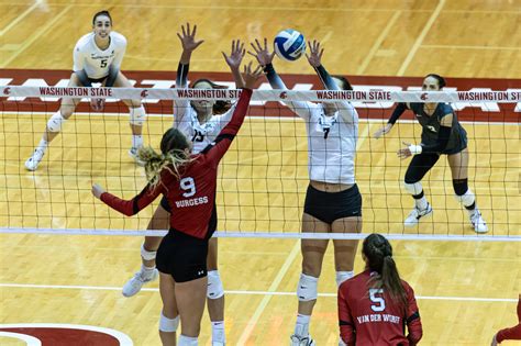 Wsu Volleyball Schedule: Top Matches To Watch